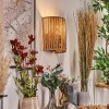 Colmeal Licht omhoog & omlaag, Wandlamp Zwart, 1-licht