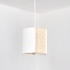 Desroches Hanglamp, Hanglamp Wit, 1-licht