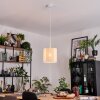 Desroches Hanglamp, Hanglamp Wit, 1-licht