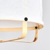 Sagan Hanglamp, Hanglamp Zwart, 1-licht