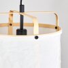 Sagan Hanglamp, Hanglamp Zwart, 1-licht