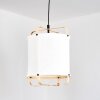 Sagan Hanglamp, Hanglamp Zwart, 1-licht