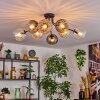 Koyoto Plafondlamp, Kogellampje 85 cm Amber, Duidelijk, Rookkleurig, 8-lichts