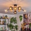 Koyoto Plafondlamp, Kogellampje 85 cm Amber, Duidelijk, Rookkleurig, 8-lichts