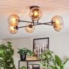 Koyoto Plafondlamp, Kogellampje 78 cm Amber, Duidelijk, 6-lichts