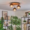 Koyoto Plafondlamp, Kogellampje Natuurlijke kleuren, Zwart, 3-lichts