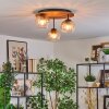 Koyoto Plafondlamp, Kogellampje Natuurlijke kleuren, Zwart, 3-lichts