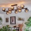 Koyoto Plafondlamp, Kogellampje Duidelijk, Rookkleurig, 10-lichts Koyoto Plafondlamp, Kogellampje Duidelijk, Rookkleurig, 10-lichts