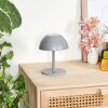 Laken Buiten tafellamp, Badkamerlamp, Tafellamp LED Grijs, 1-licht