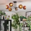 Ripoll Plafondlamp, Kogellampje Chroom, Goud, Duidelijk, Koperkleurig, Rookkleurig, 6-lichts