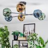 Ripoll Plafondlamp, Kogellampje Blauw, Goud, Groen, 6-lichts