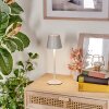 Salgadinho Buiten tafellamp, Tafellamp LED Wit, 1-licht