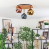 Ripoll Plafondlamp, Kogellampje Natuurlijke kleuren, Zwart, 3-lichts
