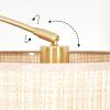 Sabadim Staande lamp Messing, Zwart, 1-licht