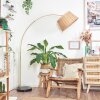 Cavaca Staande lamp Messing, Zwart, 1-licht