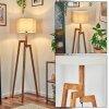 Soungou Staande lamp Natuurlijke kleuren, Zwart, 1-licht
