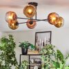 Ripoll Plafondlamp, Kogellampje Goud, Duidelijk, Koperkleurig, 6-lichts