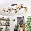 Gastor Plafondlamp, Kogellampje Goud, Zwart, 10-lichts