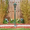 Naofe Pad licht Groen, Zwart, 1-licht, Bewegingsmelder