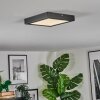 Isela Plafondlamp LED Zwart, 1-licht