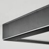 Isela Plafondlamp LED Zwart, 1-licht