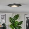 Isela Plafondlamp LED Zwart, 1-licht