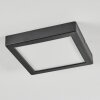 Isela Plafondlamp LED Zwart, 1-licht