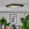 Isela Plafondlamp LED Zwart, 1-licht