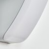 Gilan Wandlamp voor buiten, Wandlamp LED Zilver, 1-licht