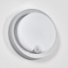 Jelad Wandlamp voor buiten, Wandlamp LED Zilver, 1-licht, Bewegingsmelder