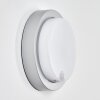 Jelad Wandlamp voor buiten, Wandlamp LED Zilver, 1-licht, Bewegingsmelder