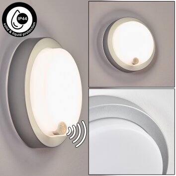 Jelad Wandlamp voor buiten, Wandlamp LED Zilver, 1-licht, Bewegingsmelder