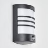 Heran Wandlamp voor buiten, Wandlamp LED Zwart, 1-licht, Bewegingsmelder