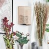 Labrujo Licht omhoog & omlaag, Wandlamp Zwart, 1-licht