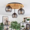 Koyoto Plafondlamp, Kogellampje Natuurlijke kleuren, Zwart, 3-lichts