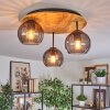 Koyoto Plafondlamp, Kogellampje Natuurlijke kleuren, Zwart, 3-lichts