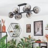 Koyoto Plafondlamp, Kogellampje Duidelijk, Rookkleurig, 8-lichts