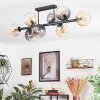 Koyoto Plafondlamp, Kogellampje Amber, Duidelijk, Rookkleurig, 8-lichts