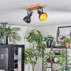 Hagan Plafondlamp, Plafondspot Chroom, Natuurlijke kleuren, Zwart, 2-lichts