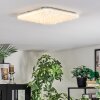 Loden Plafondlamp LED Wit, 1-licht