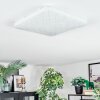 Loden Plafondlamp LED Wit, 1-licht
