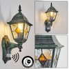 Naofe Wandlamp voor buiten, Wandlamp Groen, Zwart, 1-licht, Bewegingsmelder
