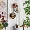Koyoto Kogellampje, Wandlamp Goud, Duidelijk, Koperkleurig, Rookkleurig, 3-lichts