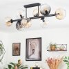 Koyoto Plafondlamp, Kogellampje Amber, Duidelijk, Rookkleurig, 8-lichts
