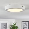 Finsrud Plafondlamp LED Wit, 1-licht