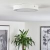 Finsrud Plafondlamp LED Wit, 1-licht