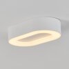 Paleroo Buitenshuis plafond verlichting LED Wit, 1-licht