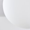 Hyco Plafondlamp Nikkel mat, 12-lichts