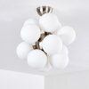 Hyco Plafondlamp Nikkel mat, 12-lichts