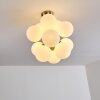 Hyco Plafondlamp Nikkel mat, 12-lichts